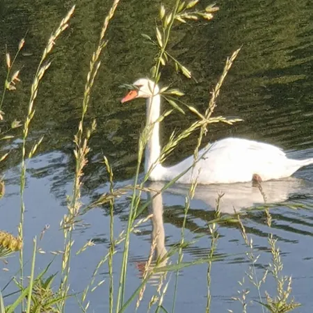 Privee Dans Petite Maison Typique *