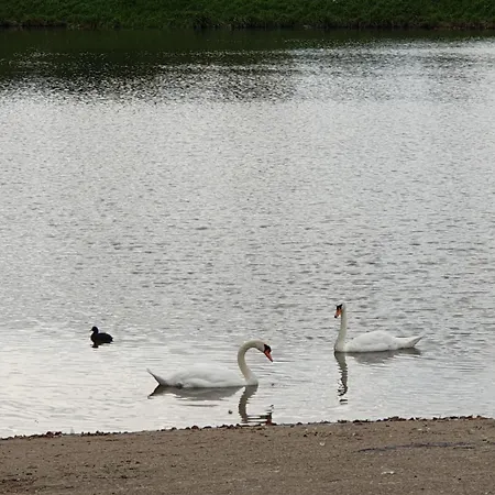 Проживание в семье Privee Dans Petite Maison Typique